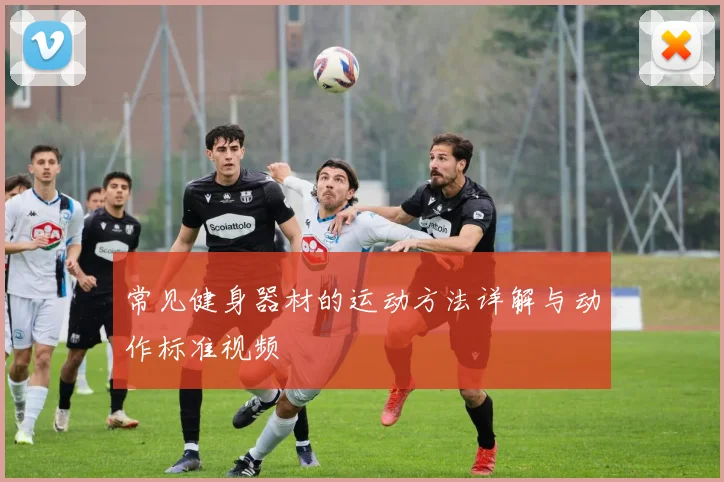 常见健身器材的运动方法详解与动作标准视频