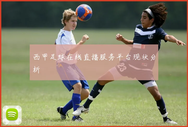 西甲足球在线直播服务平台现状分析